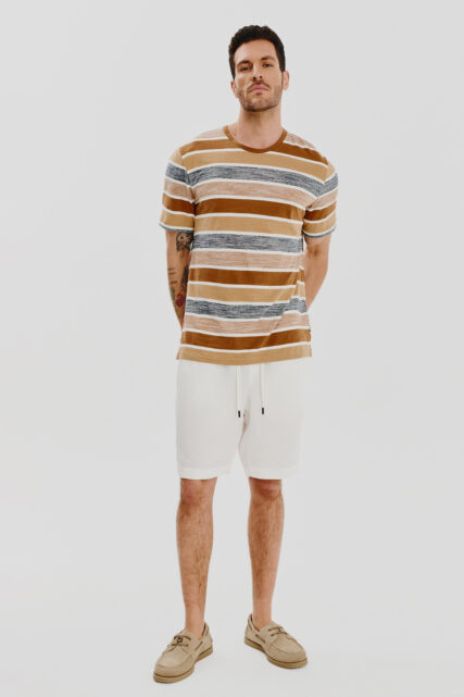 T-shirt Brązowy w Paski Pierre Cardin